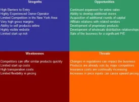 Mixed Martial Arts Gym SWOT Analysis Plus Business Plan